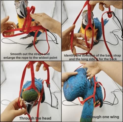 Barn Eleven petite bird harness showing nylon webbing texture