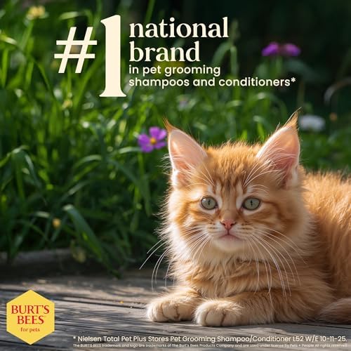 Pet safe natural origin cat shampoo showing close up of the bottle packaging