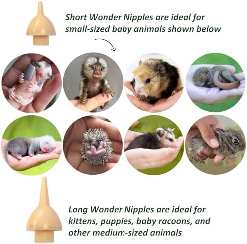 Exotic Nutrition nursing set contents including syringes and nipples