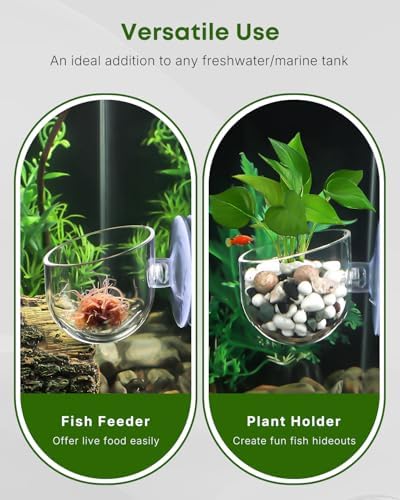Pawfly red worm fish feeder cup action view showing small aquarium fish feeding from the holder.