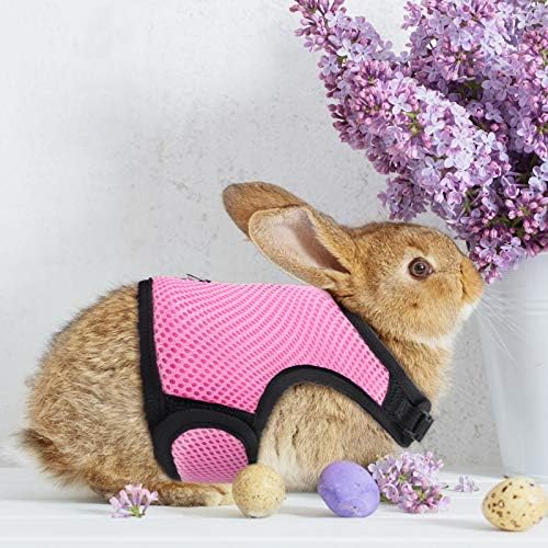 Satinior guinea pig vest and leash set laid flat for sizing