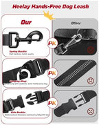 Heelay dog leash worn as a waist belt