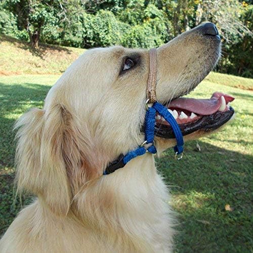 Training Unlimited Comfort Trainer Head Halter blue dog anti pull collar front view