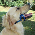 Training Unlimited Comfort Trainer Head Halter blue dog anti pull collar front view