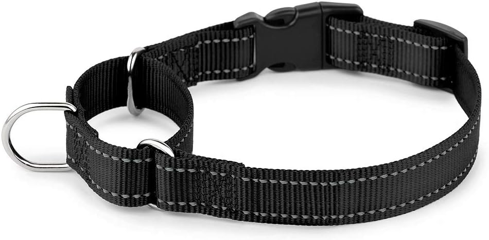 PLUTUS PET Reflective Martingale Collar with Quick Snap Buckle,No Pull Dog Choker Collar for Small Medium Large Dogs,M,Hot Pink - Image 10