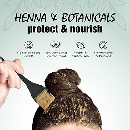 Instructions and components of Light Mountain henna kit