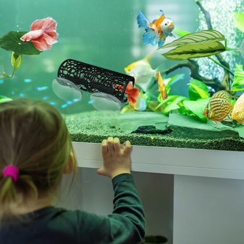 Complete packaging layout of the imported EQUNROY aquarium decoration kit with spare suction cups.