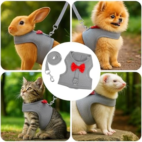 Barn Eleven grey medium bunny harness shown next to the included matching flexible traction lead.