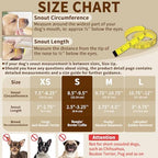 Reflective safety dog mouth guard details