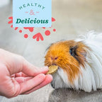 Oxbow animal health supplement rear packaging details