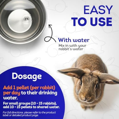 USA imported HealthyAnimals4Ever small animal gut motility wellness tablets back label details