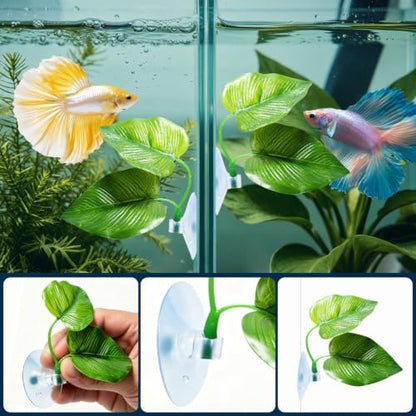 Installed view of the double leaf betta hammock submerged two inches below the water line