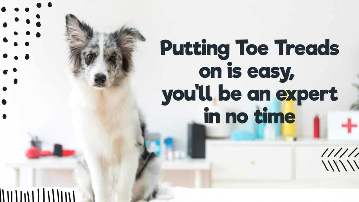 Close up of adhesive dog toe treads and application brush