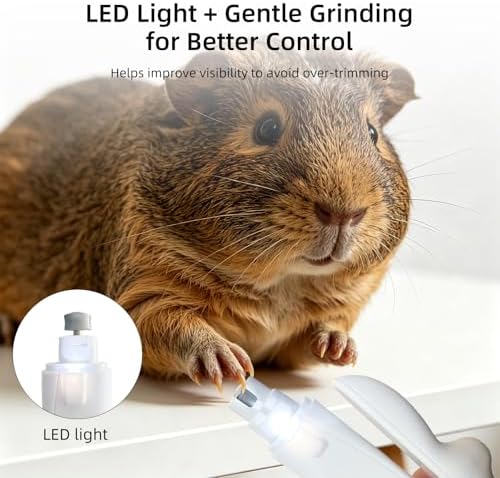 Low noise small animal electric nail grinder close up on diamond bit wheel