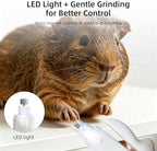 Low noise small animal electric nail grinder close up on diamond bit wheel
