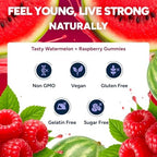 Purify Life resveratrol supplement back label showing ingredients