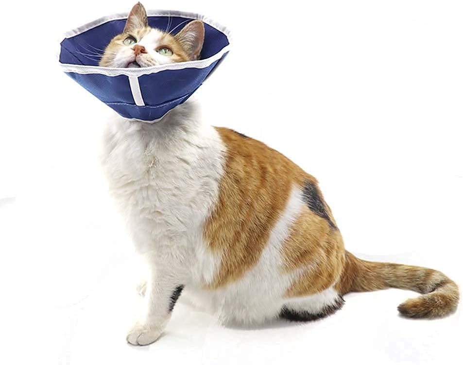 Packaging and product details of the QIYADIN cat recovery collar