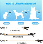Using Miao Chuai dog car seat belt with vehicle latch system