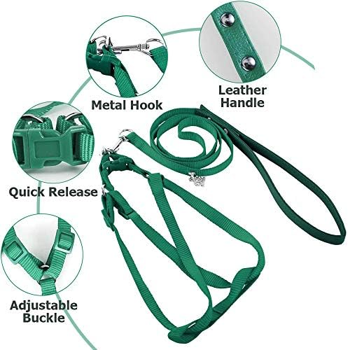 ASOCEA parrot training tether showing buckle closure and strap details.