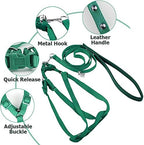 ASOCEA parrot training tether showing buckle closure and strap details.