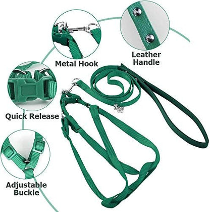 Asocea bird harness showing the adjustable chest strap mechanism