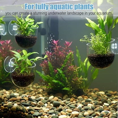 Eldraqth clear acrylic shrimp feeding cage and aquatic vegetation holder close up view