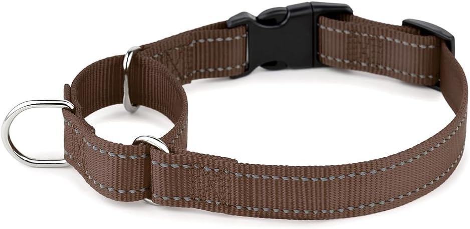 PLUTUS PET Reflective Martingale Collar with Quick Snap Buckle,No Pull Dog Choker Collar for Small Medium Large Dogs,M,Hot Pink - Image 11