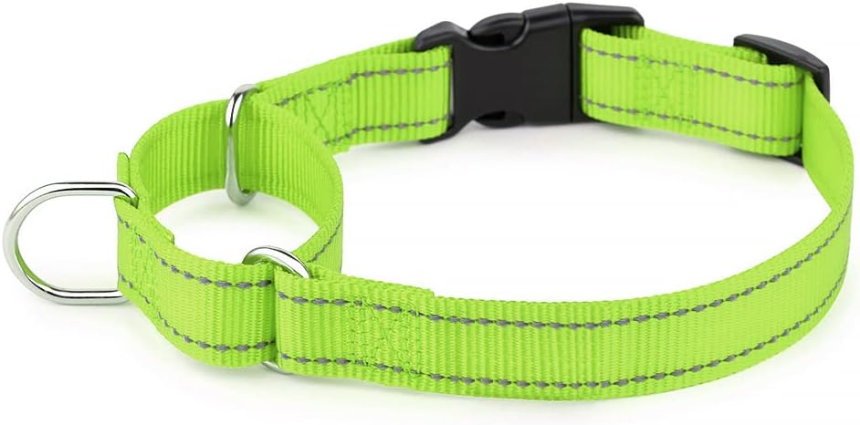 PLUTUS PET Reflective Martingale Collar with Quick Snap Buckle,No Pull Dog Choker Collar for Small Medium Large Dogs,M,Hot Pink - Image 14