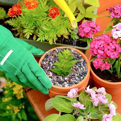 Multifunctional CJGQ landscaping pebbles for flower pots