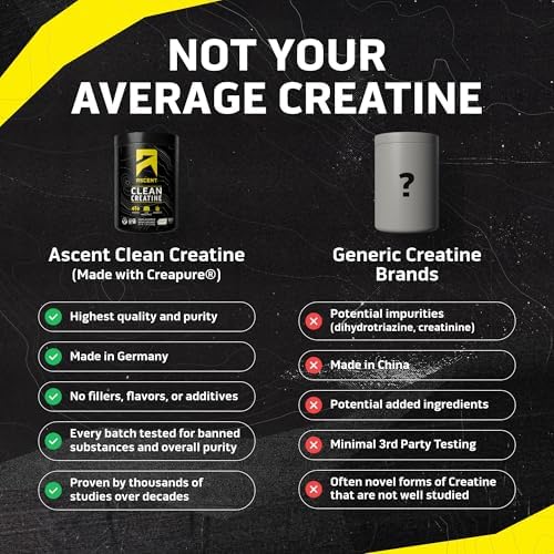 Scoop of unflavored Ascent Clean Creatine powder