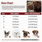 Two pack Pezluxe dog mouth cover for medium dogs displaying the integrated safety reflective strips