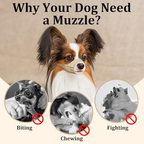 Dog friendly Mayerzon muzzle packaging and product view