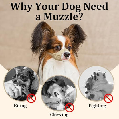 Dog friendly Mayerzon muzzle packaging and product view
