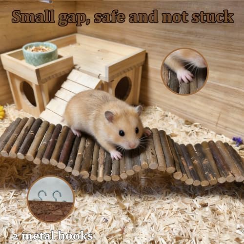 Hamiledyi rat climbing bridge angled perspective