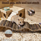 Hamiledyi rat climbing bridge angled perspective