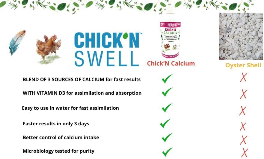 Backyard chickens eating and benefiting from dietary mineral support