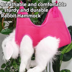 Copfeu small pet grooming sling package containing two steel hooks