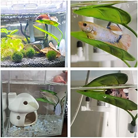 DODOAQUA aqua betta leaf pad showing secure rubber suction cup component