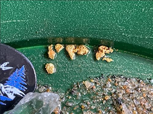 Klesh Gold Beginner Paydirt natural mining concentrates