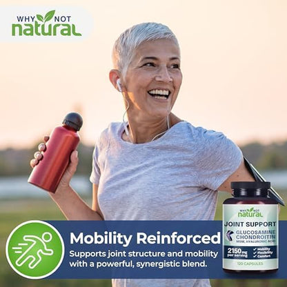 Why Not Natural Glucosamine Chondroitin, MSM, Joint Support Supplements - Knee Pain Joints Health Suppplement - Image 7
