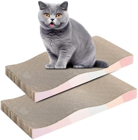 Complete product packaging setup for the imported double sided scratching board kit