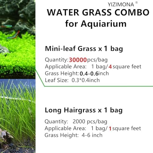 Aquarium plant seeds sprouted into a dense green lawn