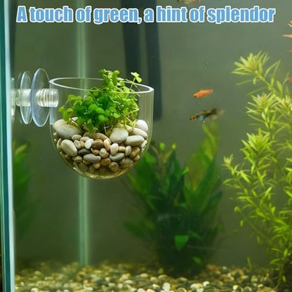 Eldraqth red worm fish feeder station filled with live food for aquarium shrimp and fish