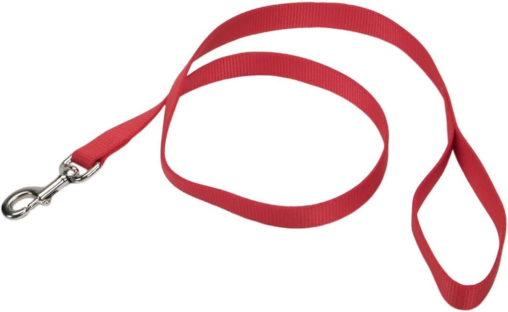 Coastal Pet Single-Ply Dog Leash - Sturdy Pet Leash - Comfortable & Stylish - Resists Fraying - Vibrant & Fade-Resistant Color - Neon Pink, 3/8" x 6' - Image 10