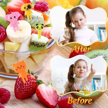 Detailed car and truck shaped fruit picks set