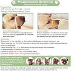 Foldable lightweight mesh muzzle for medium and large dogs close up