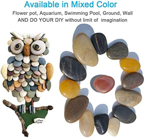 Decorative pebbles styled in indoor plant pot