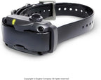 Dogtra YS600 rapid charging port and battery indicator