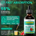 Liquid Berberine with Ceylon Cinnamon bottle and dropper