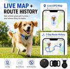 Black Nofitp pet tracking device setup with iPhone app